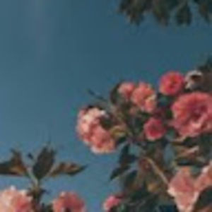 Meet your Posher, Chace